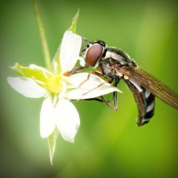/album/fiona789/photolia-a02-jpg/