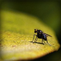 /album/fiona789/photolia-a07-jpg/